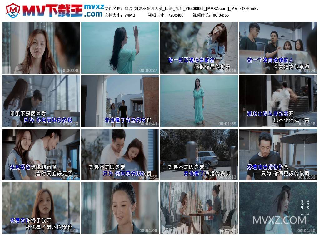 钟芹-如果不是因为爱_国语_流行_YE400886